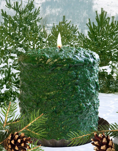 Northern Pine Hearth Candle