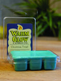 Warm Glow Scented Melts