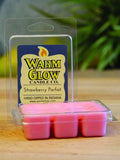 Warm Glow Scented Melts