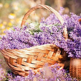 Vintage Lavender Scented Melt