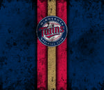 Minnesota Twins 20oz