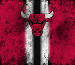 Chicago Bulls 20oz