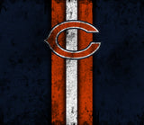 Chicago Bears 20oz