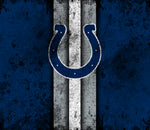 Indianapolis Colts 20oz