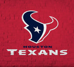 Houston Texans 20oz